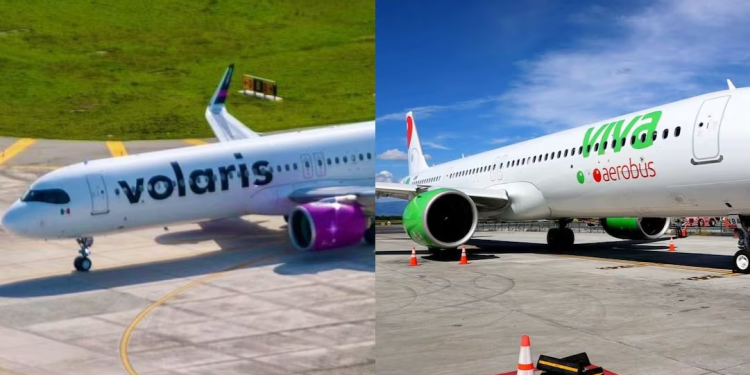 Volaris y Viva anuncian creación de nuevo Grupo Mexicano de Aerolíneas; buscan acelerar conectividad y mantener bajos costos