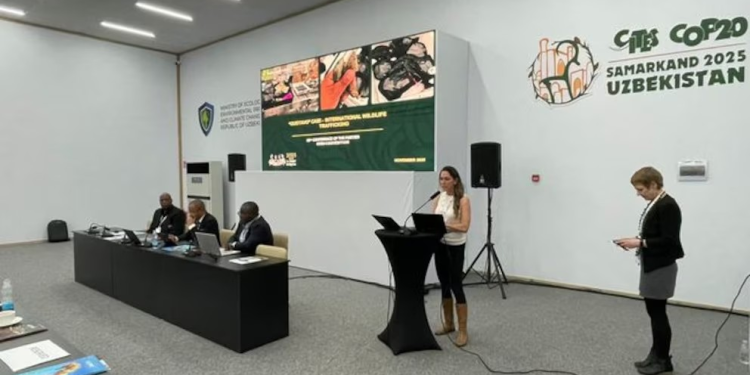 México presenta resultados alentadores en la estrategia de conservación de la vaquita marina