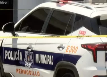 Caso Julio César Chávez Jr.: proxima audiencia sera el 24 de febrero en Hermosillo