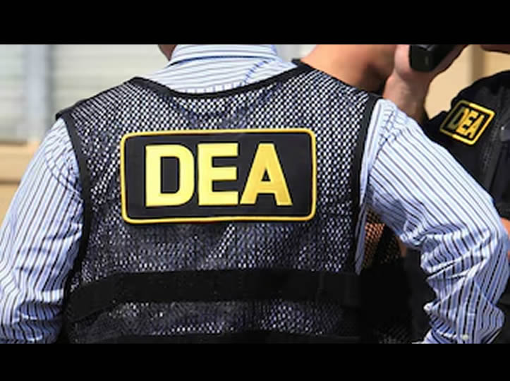 Agencias de seguridad de 14 países y EEUU operan en territorio mexicano, según Relaciones Exteriores