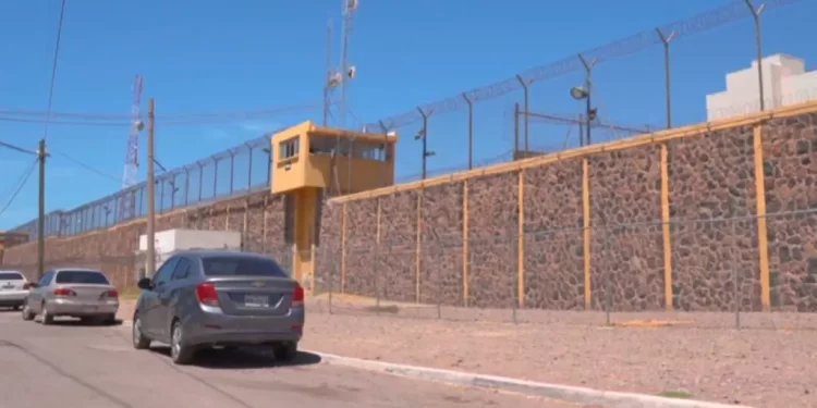 A Un Mes de la Explosión en Waldo’s: Los Rostros de las 24 Víctimas de la Tragedia en Hermosillo