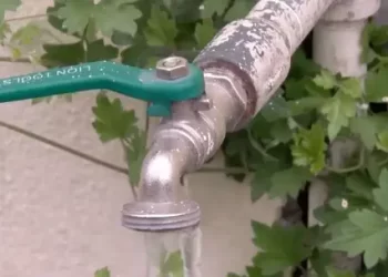 Canadá Emite Alerta de Viaje Hacia Sonora por Riesgo de Actividad Criminal