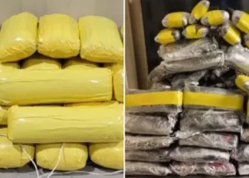 Decomisan Más de 581 Mil Pastillas de Fentanilo en Frontera de Nogales
