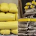 Decomisan Más de 581 Mil Pastillas de Fentanilo en Frontera de Nogales