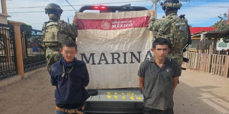 Detienen en Sonora a 15 presuntos infractores en 3 días