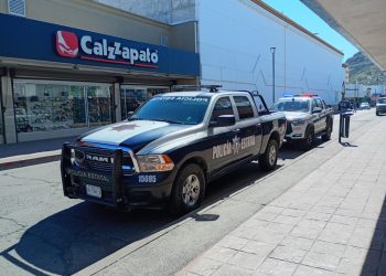 En Sonora, 966 personas han muerto de manera violenta de enero a octubre de 2025: Comité Ciudadano de Seguridad Pública