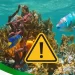 Biólogo lanza advertencia de los 20 animales marinos en peligro de extinción en México