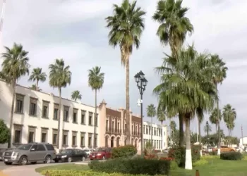 Caso Julio César Chávez Jr.: proxima audiencia sera el 24 de febrero en Hermosillo