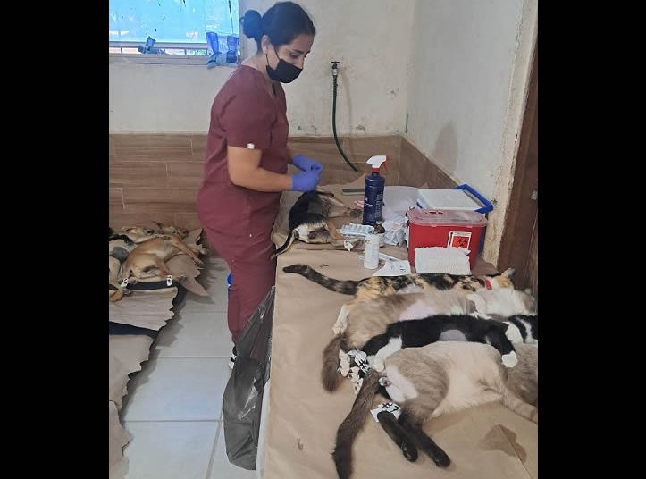 Cierran 2025 con más de 10 mil animales atendidos en Sonora a través de Jornadas de Bienestar