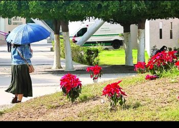Sonorenses sudarán en Navidad