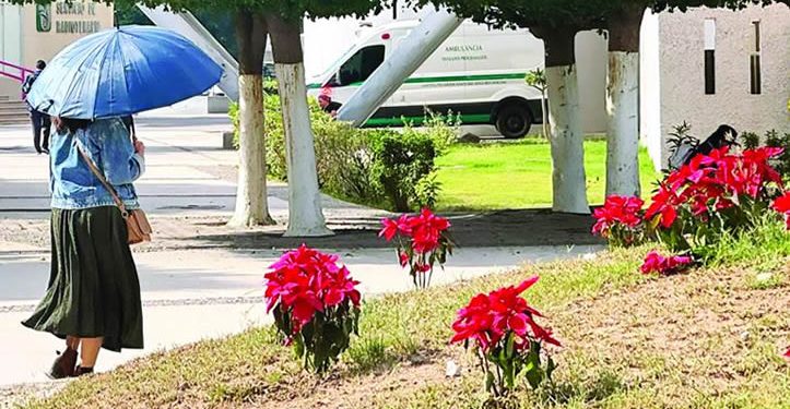 Sonorenses sudarán en Navidad