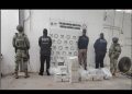 Golpe al narcotráfico en Sonora: Incautan 400 kilogramos de cocaína ocultos en cargamento de pescado