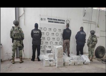 Golpe al narcotráfico en Sonora: Incautan 400 kilogramos de cocaína ocultos en cargamento de pescado