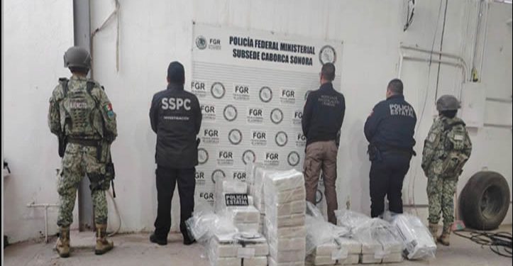 Golpe al narcotráfico en Sonora: Incautan 400 kilogramos de cocaína ocultos en cargamento de pescado