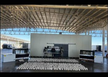 Ejército Mexicano y GN decomisan droga con valor de 170.5 MDP en puesto de revisión Querobabi