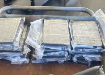 Caso Julio César Chávez Jr.: proxima audiencia sera el 24 de febrero en Hermosillo