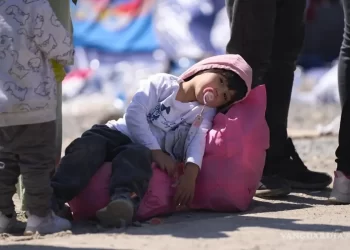 Acusa una ONG que niños migrantes de tres años acuden solos ante jueces migratorios en Arizona