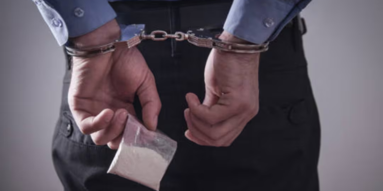 Aseguran droga y detienen a cuatro personas en cateo en Sonoyta, Sonora, en operativo conjunto contra el narcomenudeo