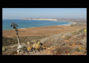 ONU alerta a Sheinbaum: Megaproyectos en Golfo de California ponen en riesgo a millones de personas