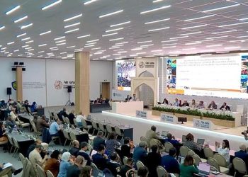 México es reconocido en CITES por los esfuerzos para la protección de la vaquita marina