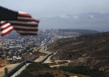 Construcción de muro pone en riesgo la fauna en la frontera, dicen ambientalistas estadounidenses