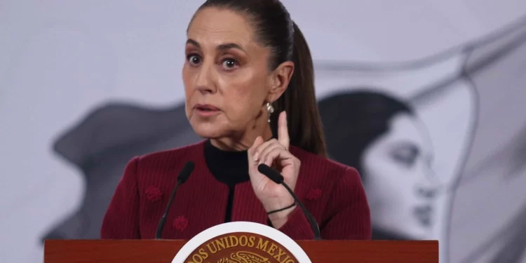 México acelera acciones para combatir plaga del gusano barrenador; se habló de ello con Trump: Sheinbaum