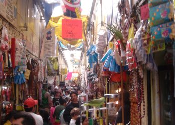 Innovación social y sostenibilidad en organizaciones rurales de Sonora