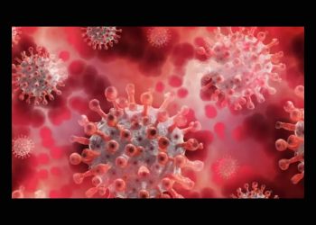 Sonora, libre de casos de “supergripe” H3N2