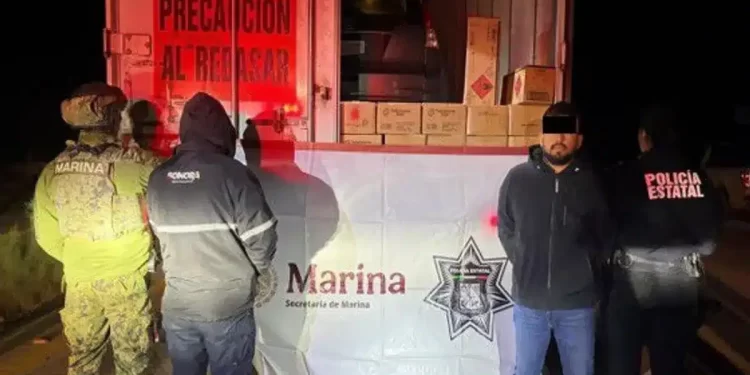 Aseguramiento de cartuchos en Sonora: Semar frena tráfico ilegal