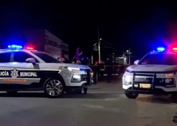 Gato Atrapado en Palmera es Rescatado por Elementos de Bomberos de Hermosillo