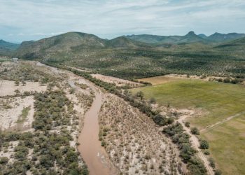 Exigencia pública: un plan de décadas, no de un sexenio