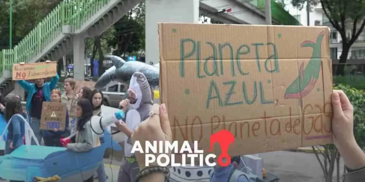 Admiten amparos contra ASEA, Semarnat y Presidencia para proteger el Golfo de California