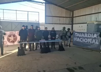 Gato Atrapado en Palmera es Rescatado por Elementos de Bomberos de Hermosillo