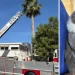 Gato Atrapado en Palmera es Rescatado por Elementos de Bomberos de Hermosillo