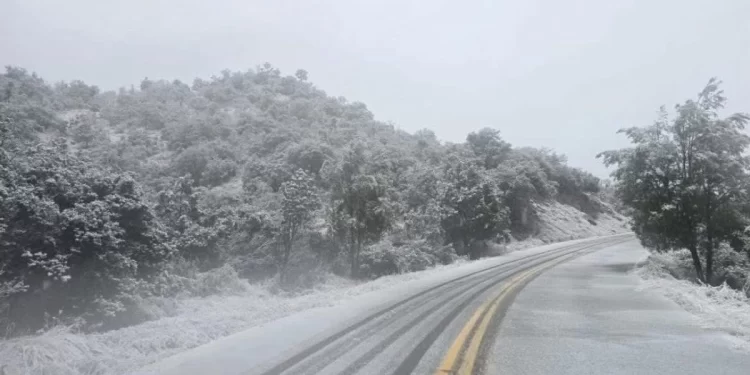 Ajustan horarios escolares en Sonora por bajas temperaturas