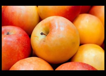 México inicia investigación antidumping a la importación manzanas desde EE.UU.