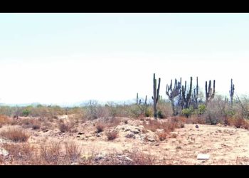 Bajan lluvias en México y alertan bancarrota hídrica