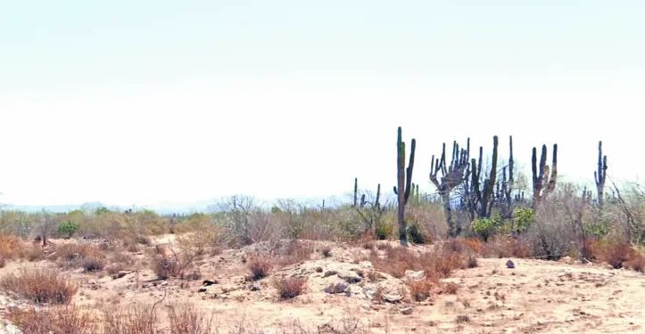 Bajan lluvias en México y alertan bancarrota hídrica