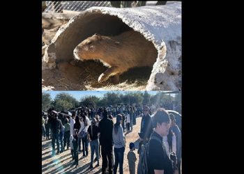 Centro Ecológico de Sonora recibe a más de 16 mil visitantes interesados en conocer a capibara
