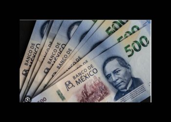 Alianza por la legalidad del gasto en Sonora