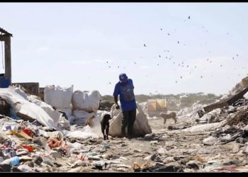 Publican Ley de Economía Circular para reducir residuos y alargar la vida de los productos