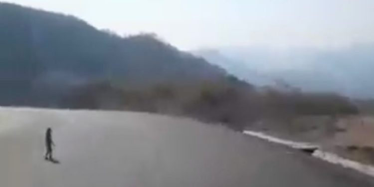 Un escalofriante elfo aparece en medio de una carretera en Sonora