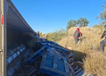 Se vuelca tráiler de jugos en Sonora; se registra rapiña