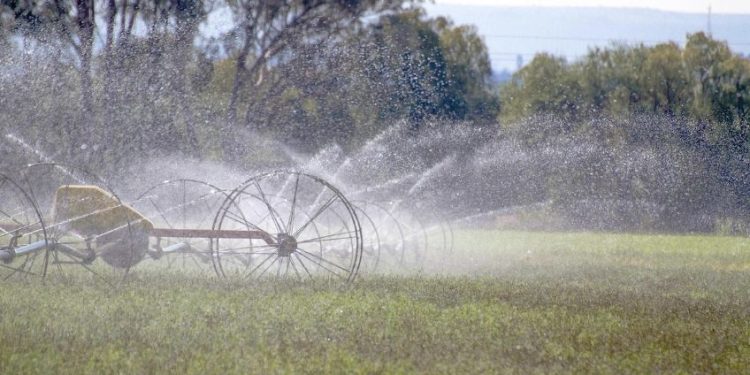 Conagua concluye obras de tecnificación hidroagrícola en Valle del Mayo