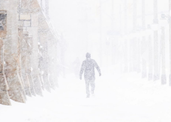 Tormenta invernal paraliza amplias regiones de EU; estas son las claves del fenómeno que alerta a 30 estados