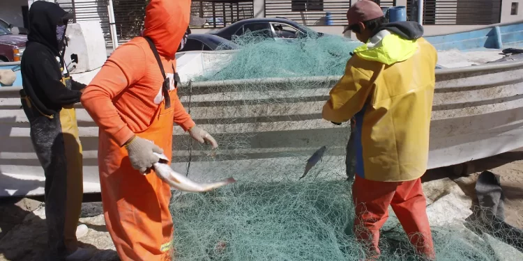 Persisten demandas de pescadores del Golfo de Santa Clara; habrá reunión con Durazo