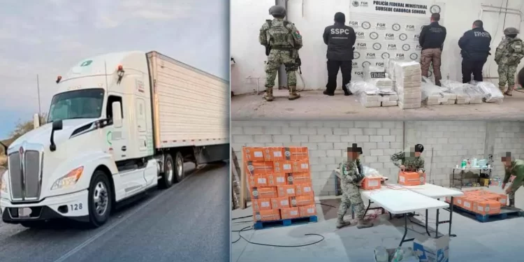 Cae trailero con 400 kilos de cocaína ocultos en filetes congelados