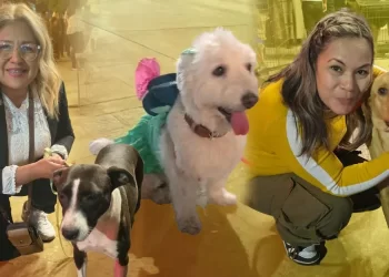 Ángeles Perrunos: Más de 200 perros encuentran hogar en 2025 en Sonora