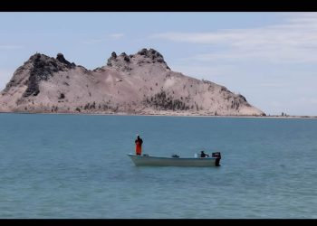 Impugnadas y anuladas: ¿qué está pasando con las sanciones emitidas por Conapesca en México?