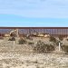 Refuerza EEUU muro fronterizo en Sonora